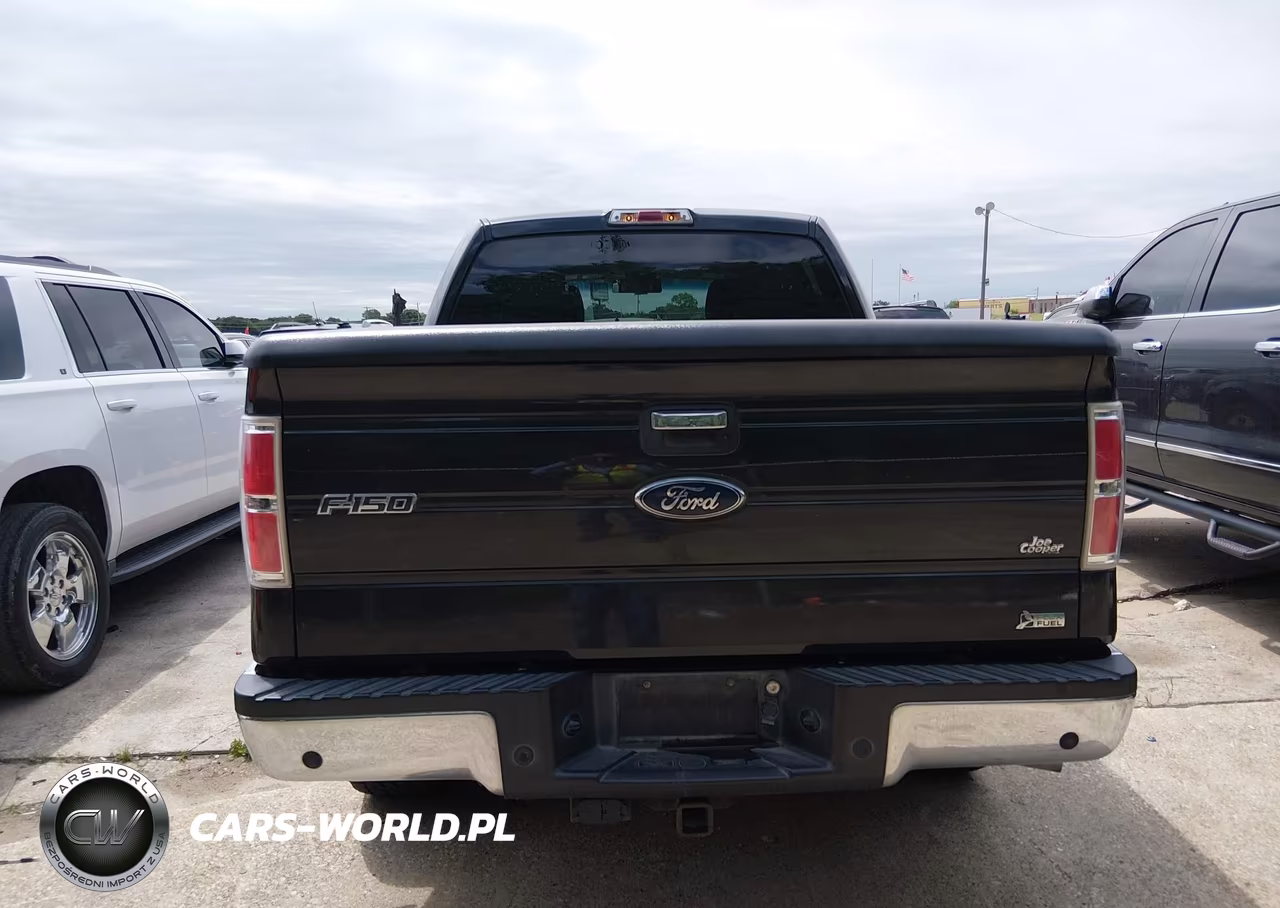 2010 Ford F-150 Fx2 Sport-Harley-Davidson-King Ranch-Lariat-Platinum-Xl-Xlt VIN:1FTFW1CV8AFC23245 - 16