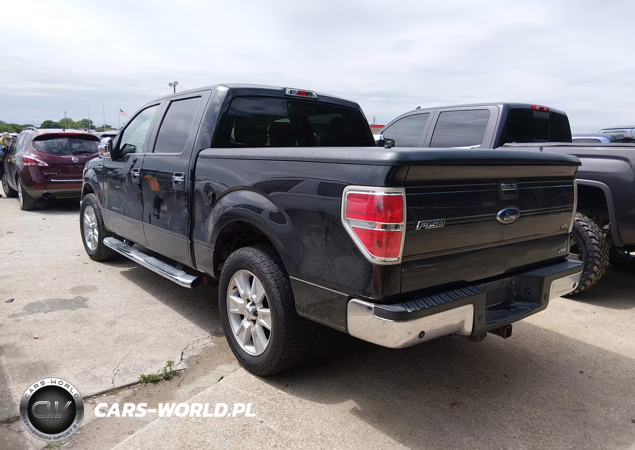 2010 Ford F-150 Fx2 Sport-Harley-Davidson-King Ranch-Lariat-Platinum-Xl-Xlt VIN:1FTFW1CV8AFC23245 - 3