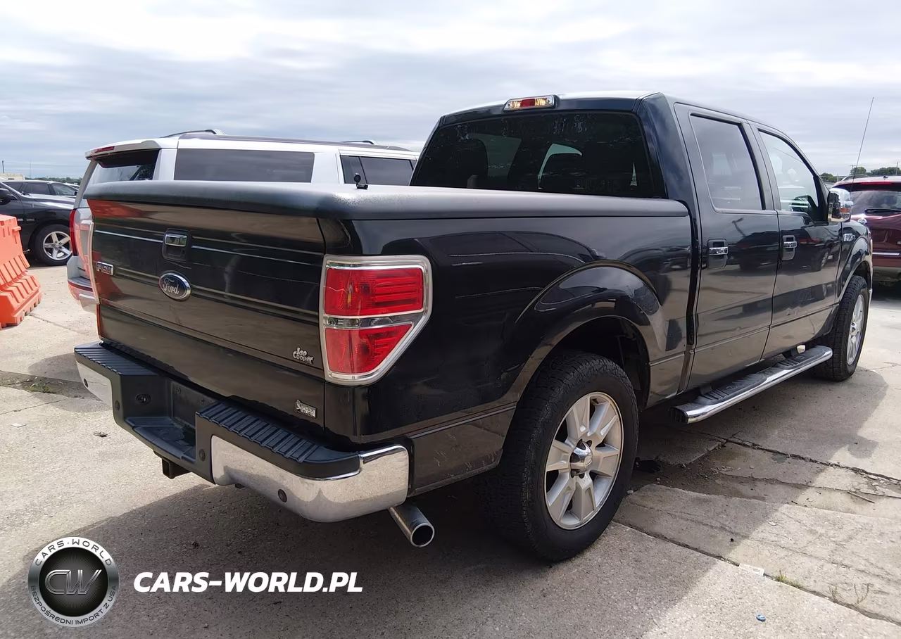 2010 Ford F-150 Fx2 Sport-Harley-Davidson-King Ranch-Lariat-Platinum-Xl-Xlt VIN:1FTFW1CV8AFC23245 - 4