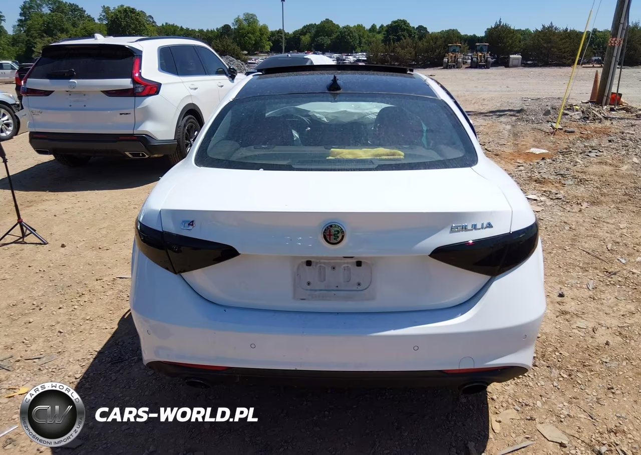 2019 Alfa Romeo Giulia Ti Lusso Awd VIN:ZARFANBN7K7606991 - 16
