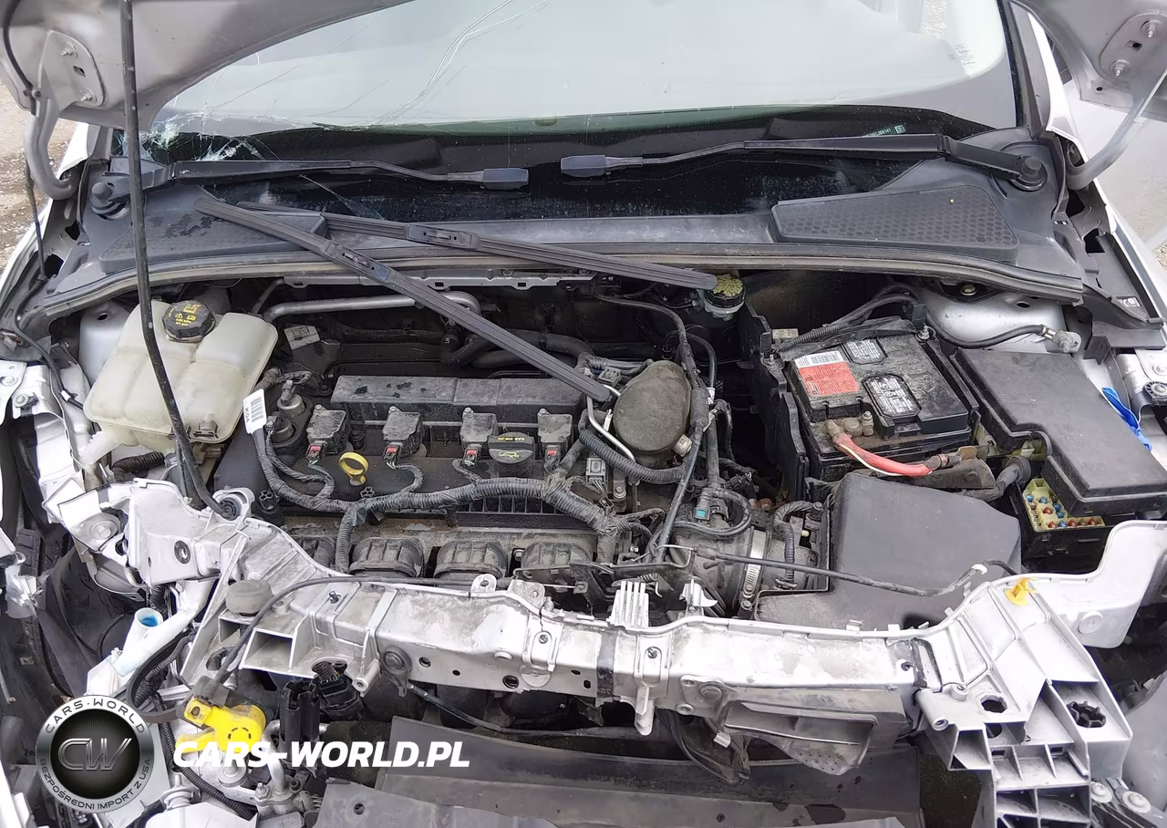 2014 Ford Focus Se VIN:1FADP3F28EL306141 - 10