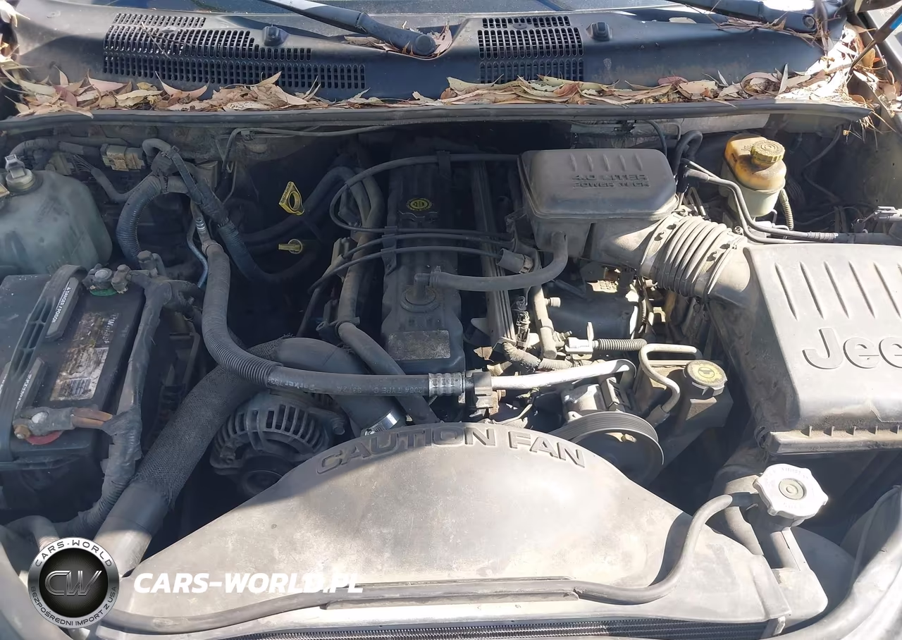 2003 Jeep Grand Cherokee Laredo VIN:1J4GW48S23C609856 - 10