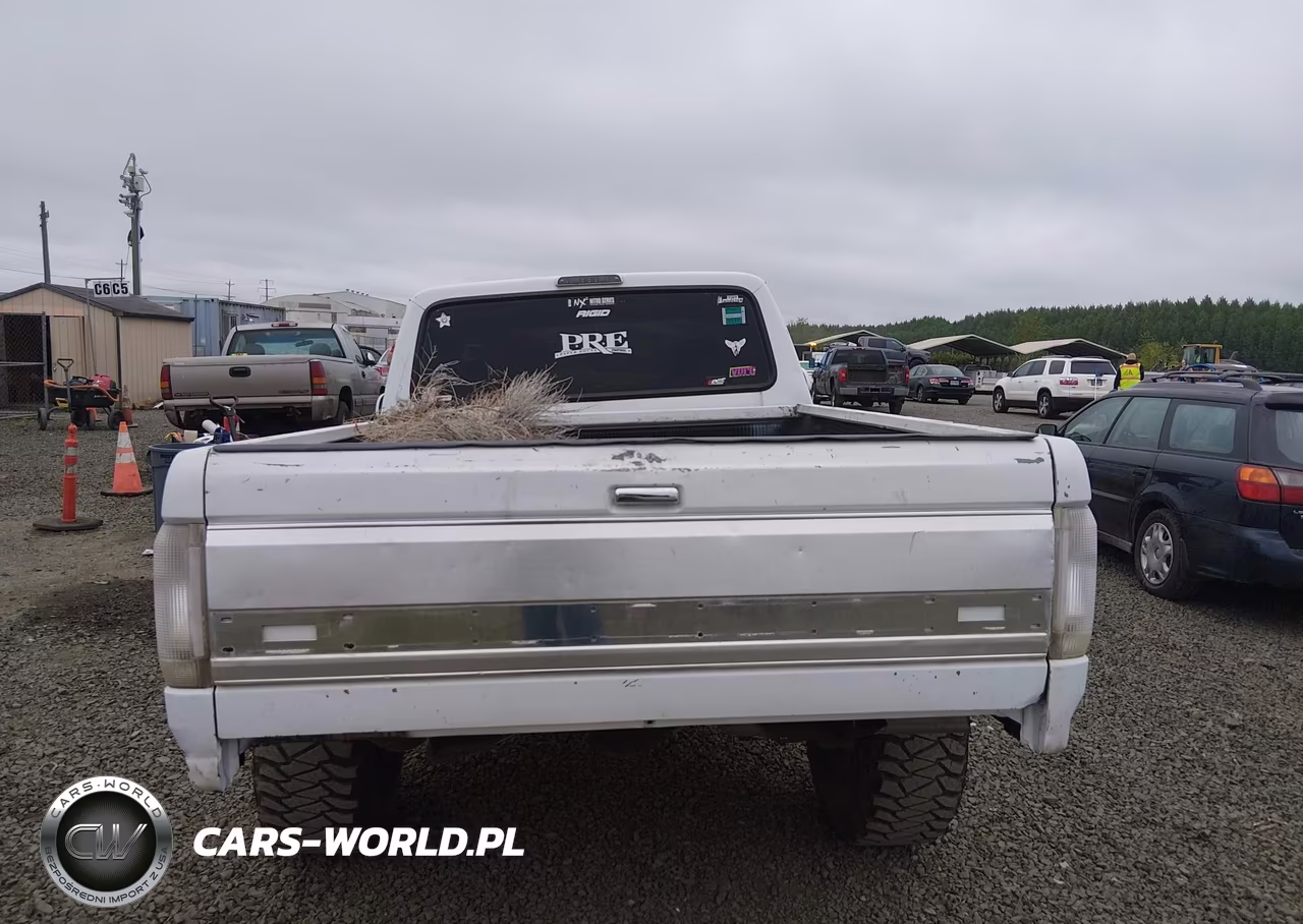 1994 Ford F150 VIN:1FTEX14N1RKA95988 - 17