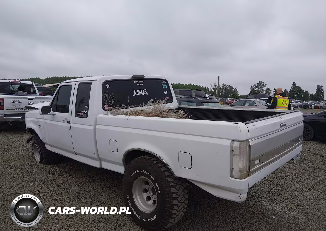 1994 Ford F150 VIN:1FTEX14N1RKA95988 - 3