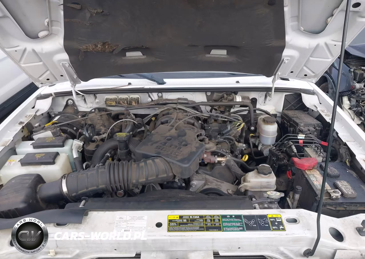 2010 Ford Ranger Sport-Xl-Xlt VIN:1FTKR1EE0APA18242 - 10