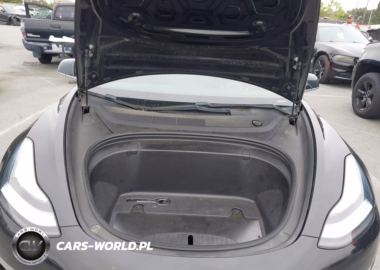 2019 Tesla Model 3 Long Range-Mid Range-Standard Range-Standard Range Plus VIN:5YJ3E1EA2KF305915 - 10