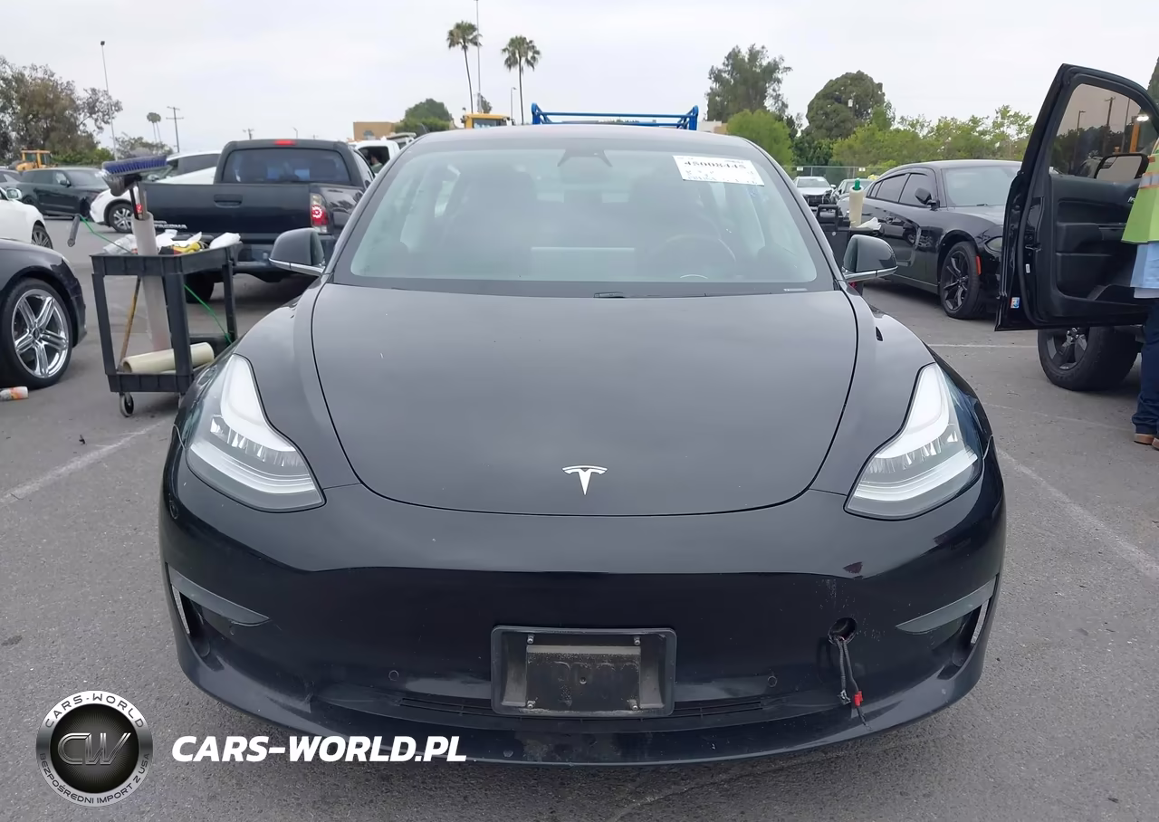 2019 Tesla Model 3 Long Range-Mid Range-Standard Range-Standard Range Plus VIN:5YJ3E1EA2KF305915 - 12