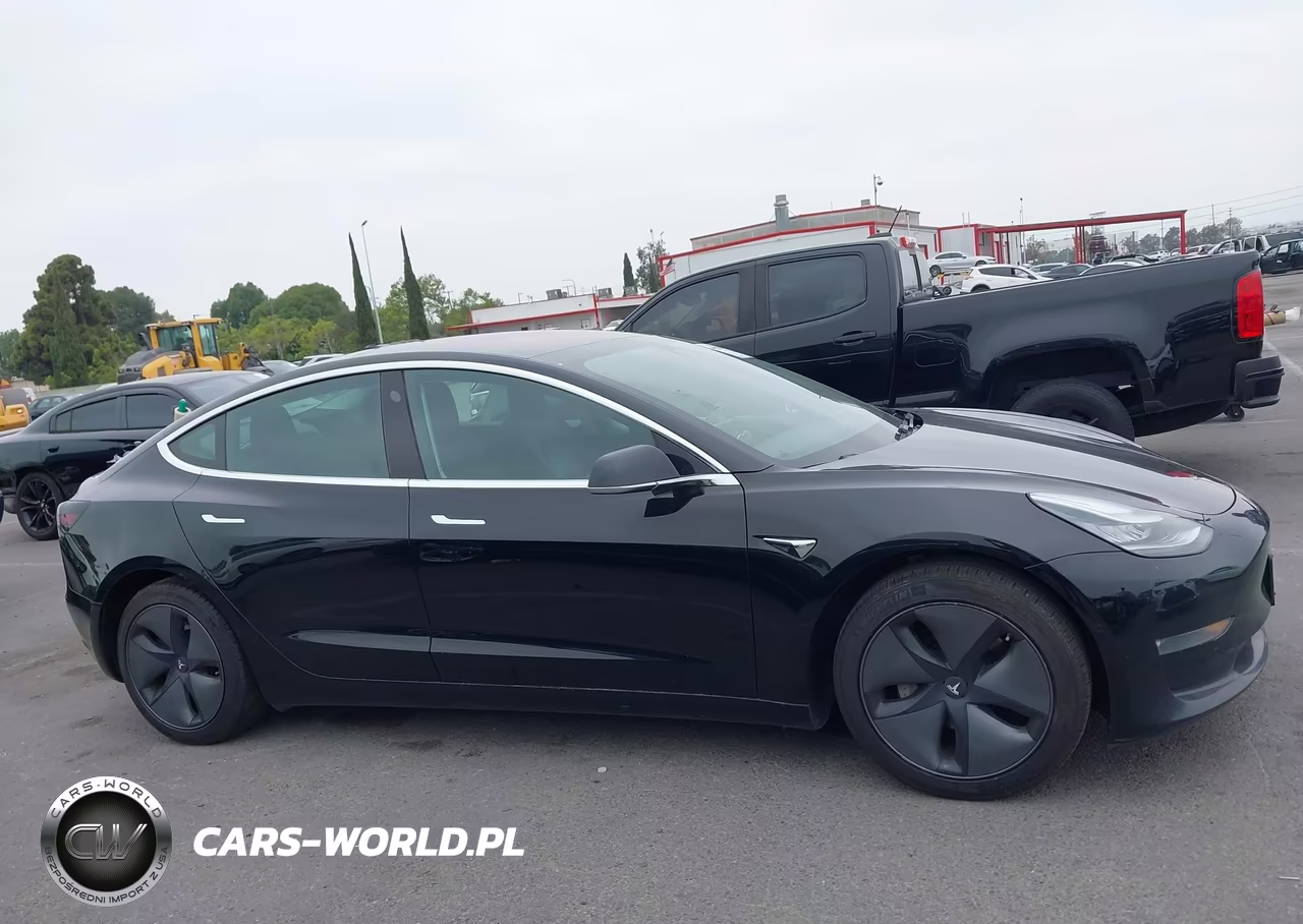 2019 Tesla Model 3 Long Range-Mid Range-Standard Range-Standard Range Plus VIN:5YJ3E1EA2KF305915 - 13