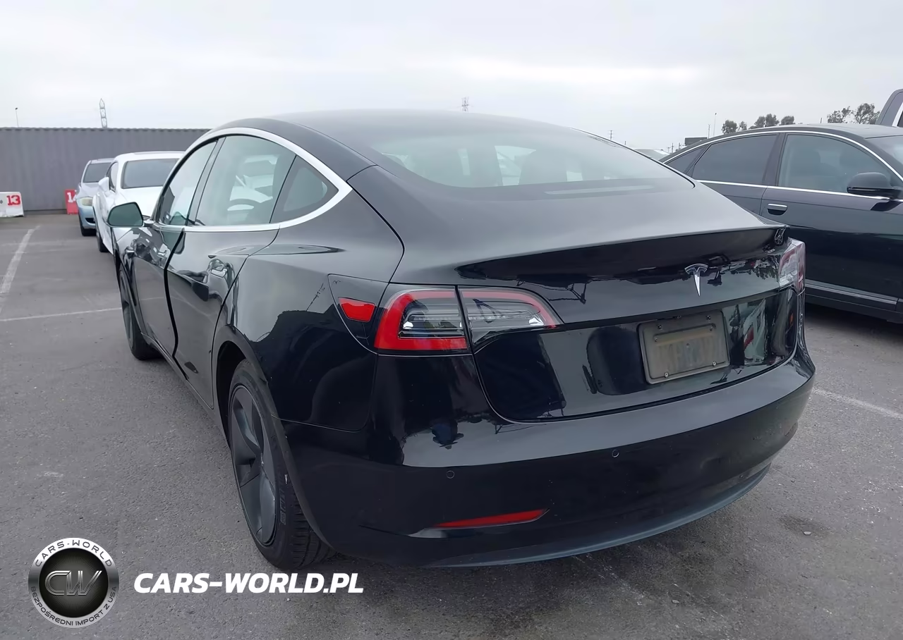 2019 Tesla Model 3 Long Range-Mid Range-Standard Range-Standard Range Plus VIN:5YJ3E1EA2KF305915 - 3