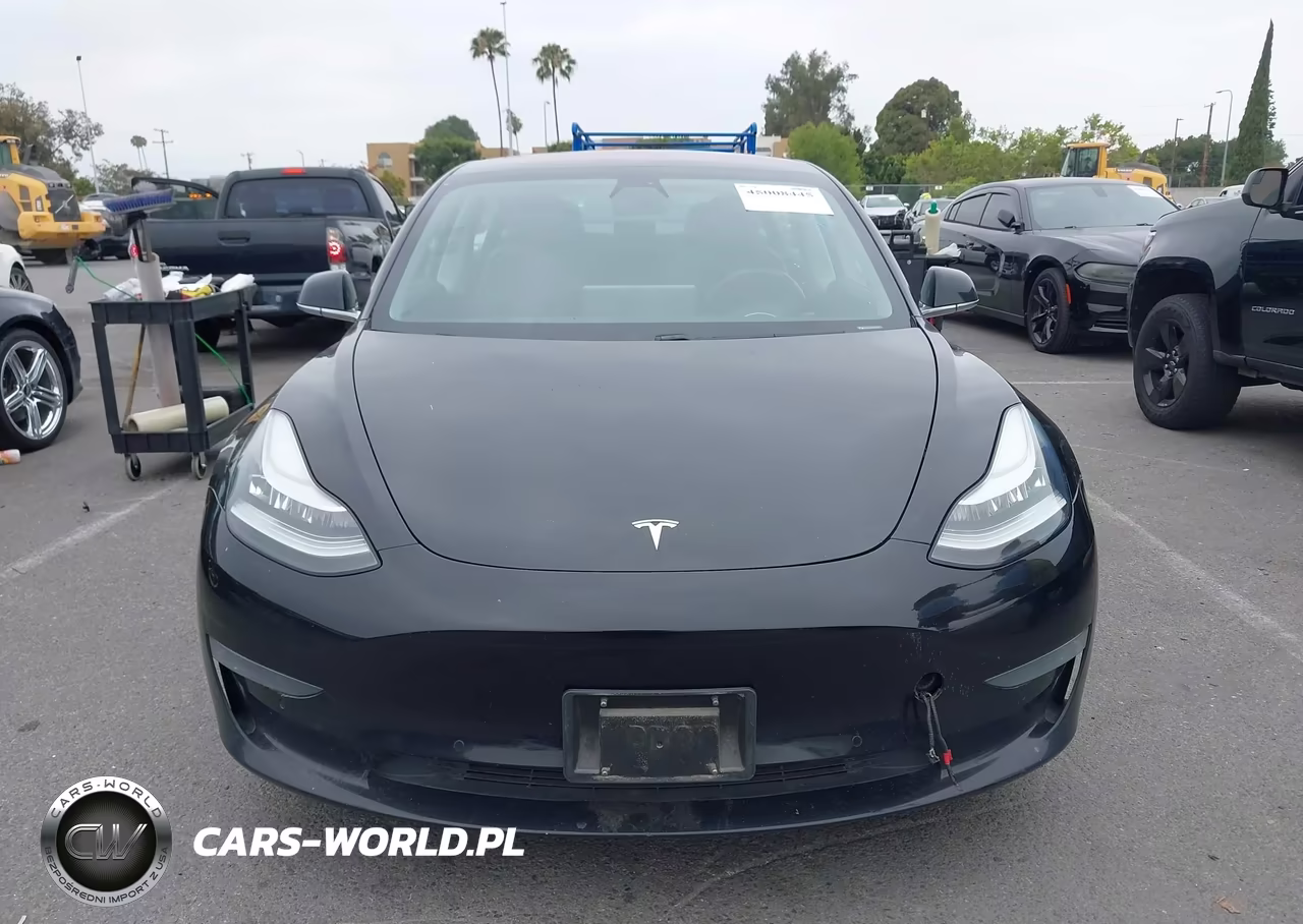 2019 Tesla Model 3 Long Range-Mid Range-Standard Range-Standard Range Plus VIN:5YJ3E1EA2KF305915 - 6