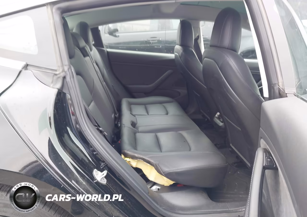 2019 Tesla Model 3 Long Range-Mid Range-Standard Range-Standard Range Plus VIN:5YJ3E1EA2KF305915 - 8