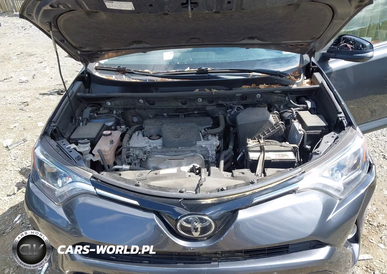 2016 Toyota Rav4 Xle VIN:JTMRFREV5GD184188 - 10