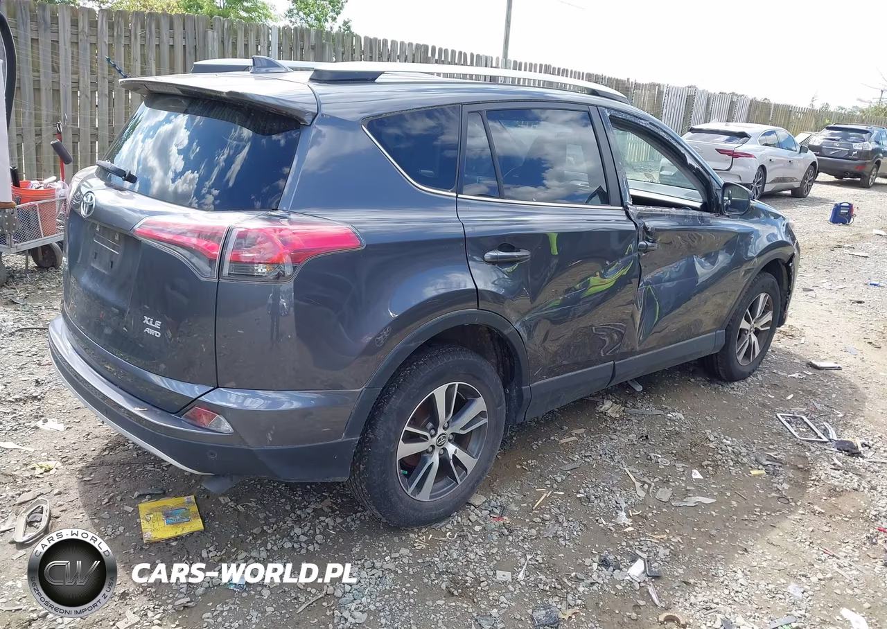 2016 Toyota Rav4 Xle VIN:JTMRFREV5GD184188 - 4