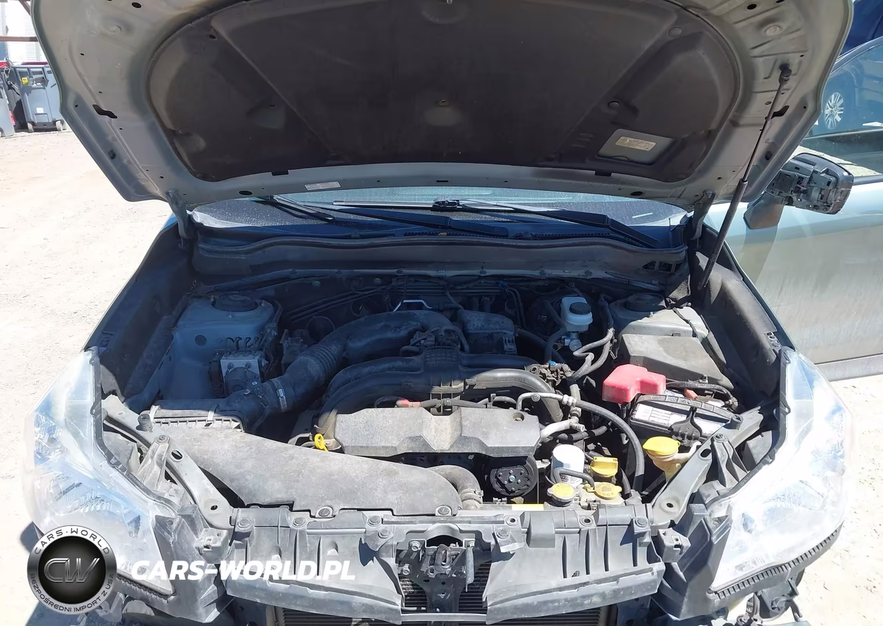 2016 Subaru Forester 2.5I VIN:JF2SJABC0GH529335 - 10