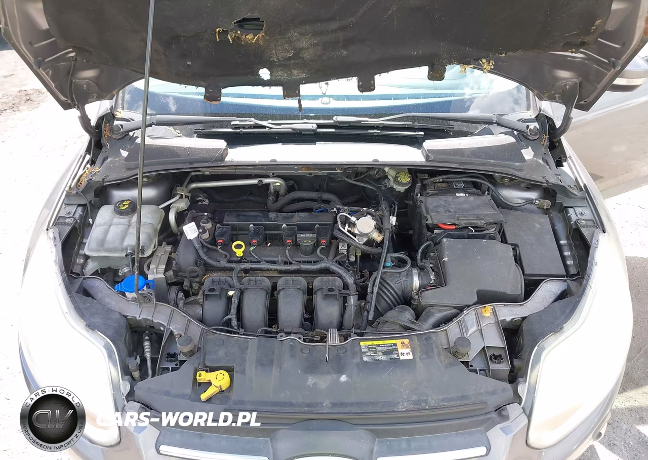 2014 Ford Focus Se VIN:1FADP3F27EL121059 - 10