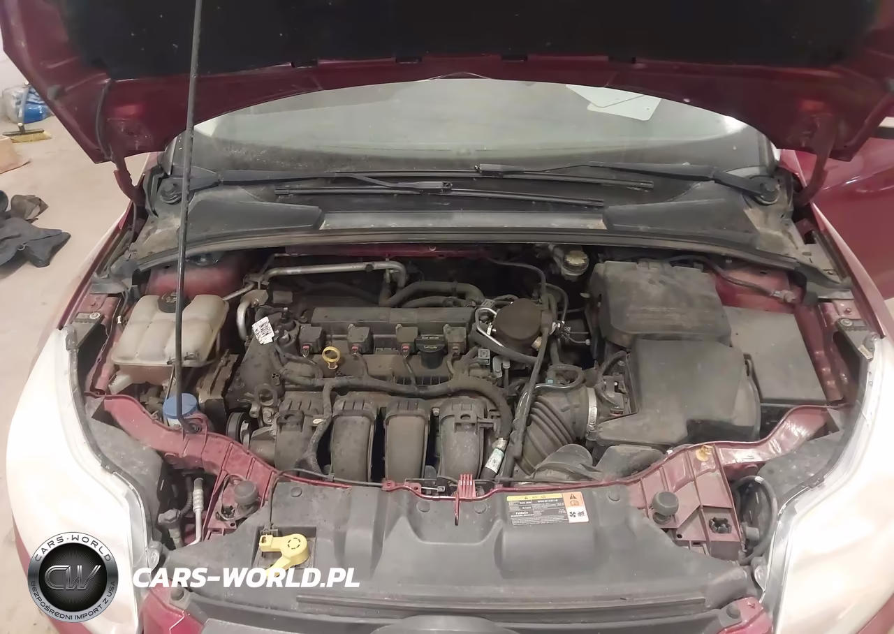 2014 Ford Focus Se VIN:1FADP3F20EL209743 - 10