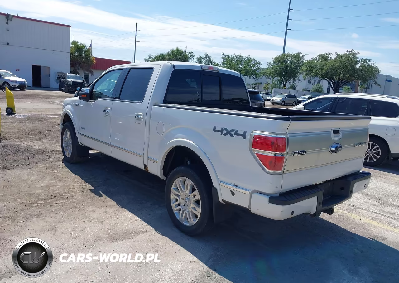 2013 Ford F-150 Platinum VIN:1FTFW1ET3DFC93364 - 3