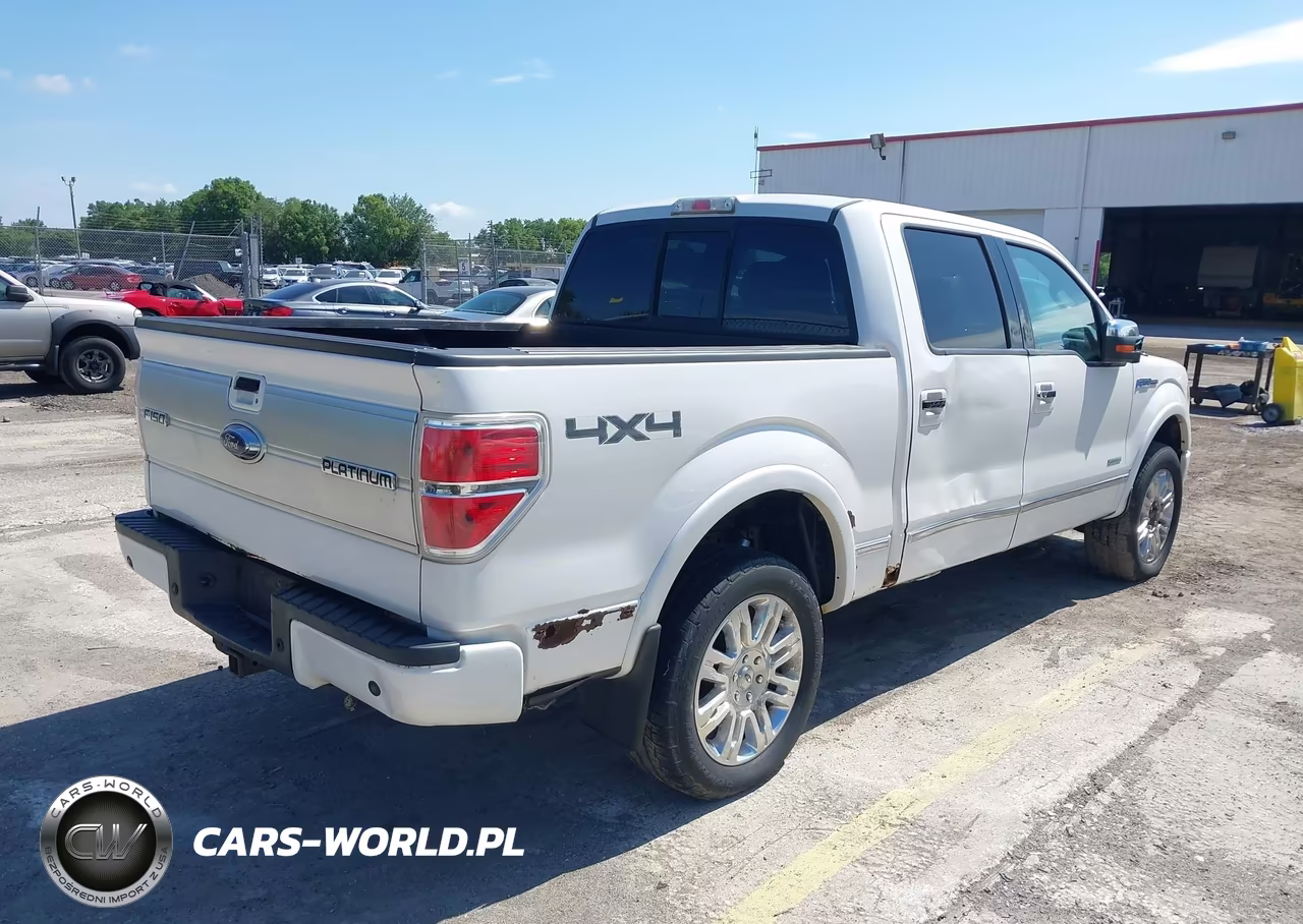 2013 Ford F-150 Platinum VIN:1FTFW1ET3DFC93364 - 4
