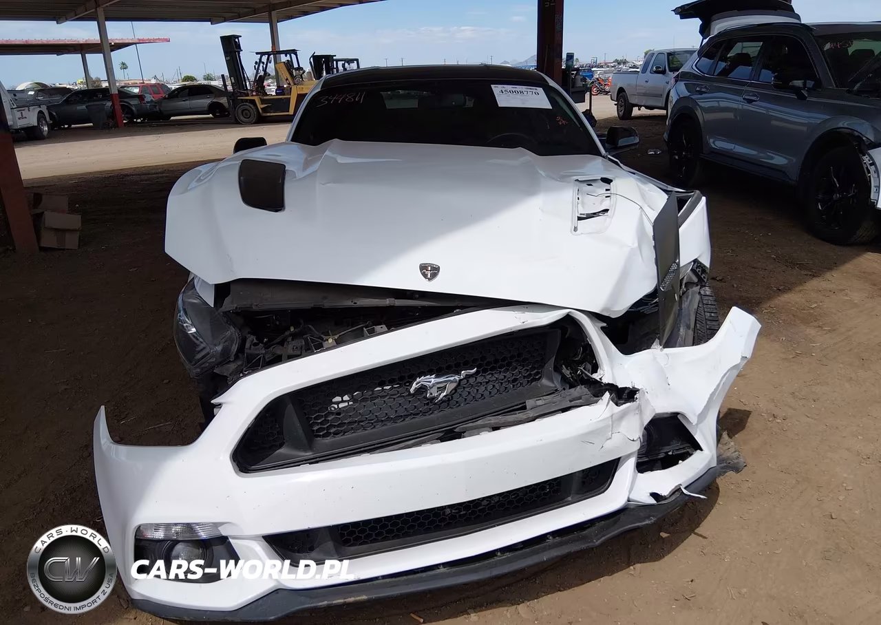 2017 Ford Mustang Gt VIN:1FA6P8CF0H5344811 - 12
