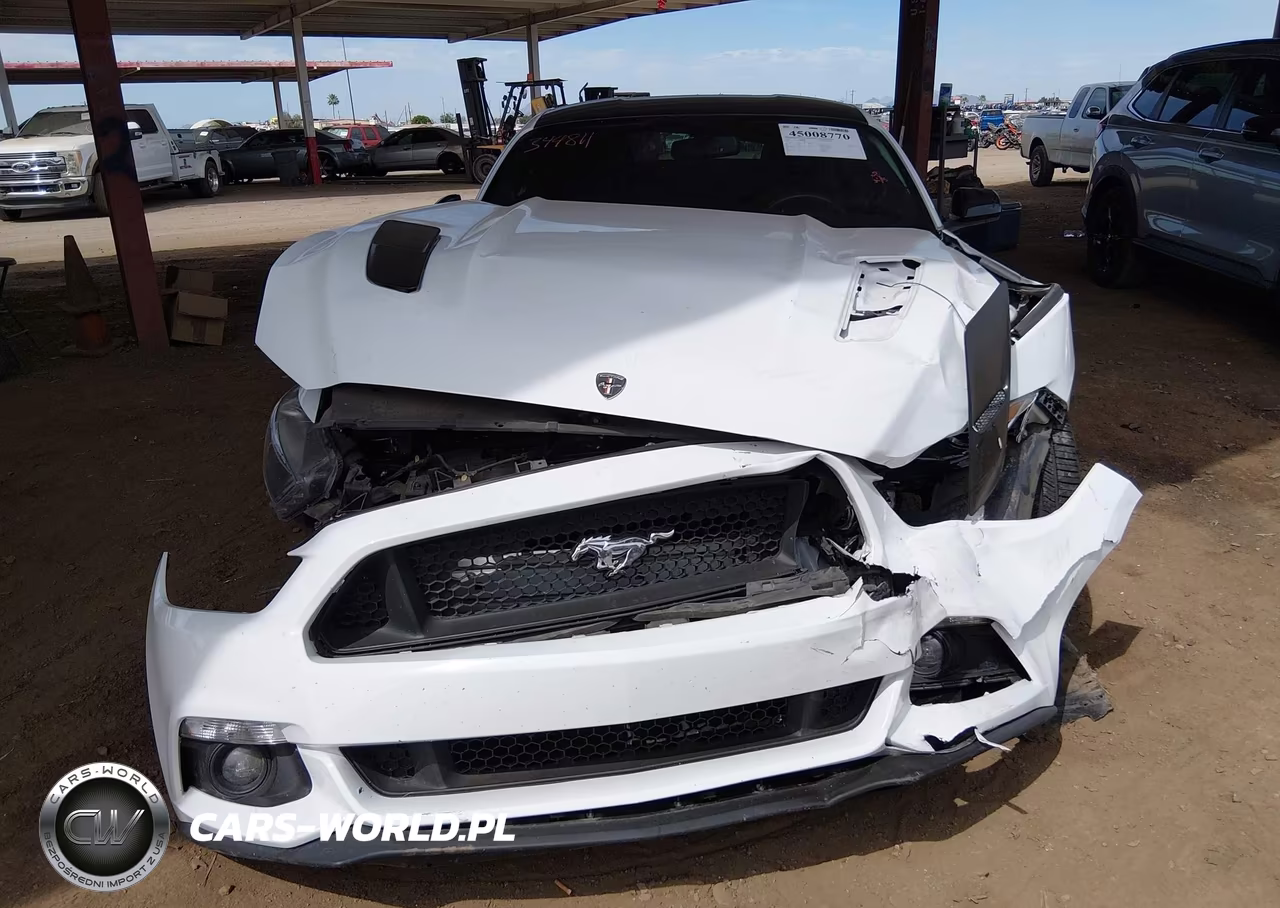 2017 Ford Mustang Gt VIN:1FA6P8CF0H5344811 - 6