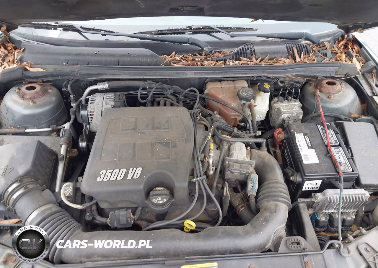 2006 Chevrolet Malibu Lt VIN:1G1ZT53866F144745 - 10