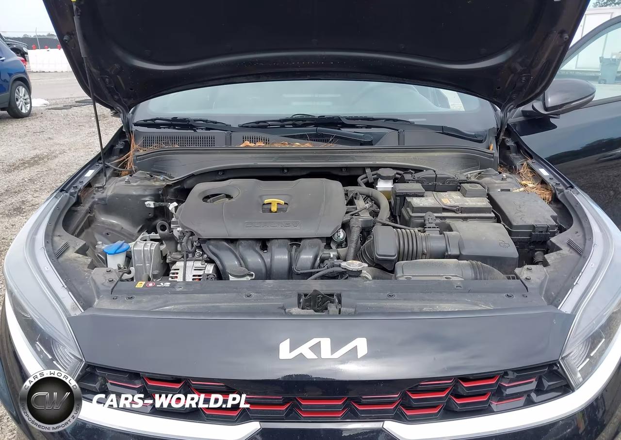 2022 Kia Forte Gt-Line VIN:3KPF54AD2NE489522 - 10