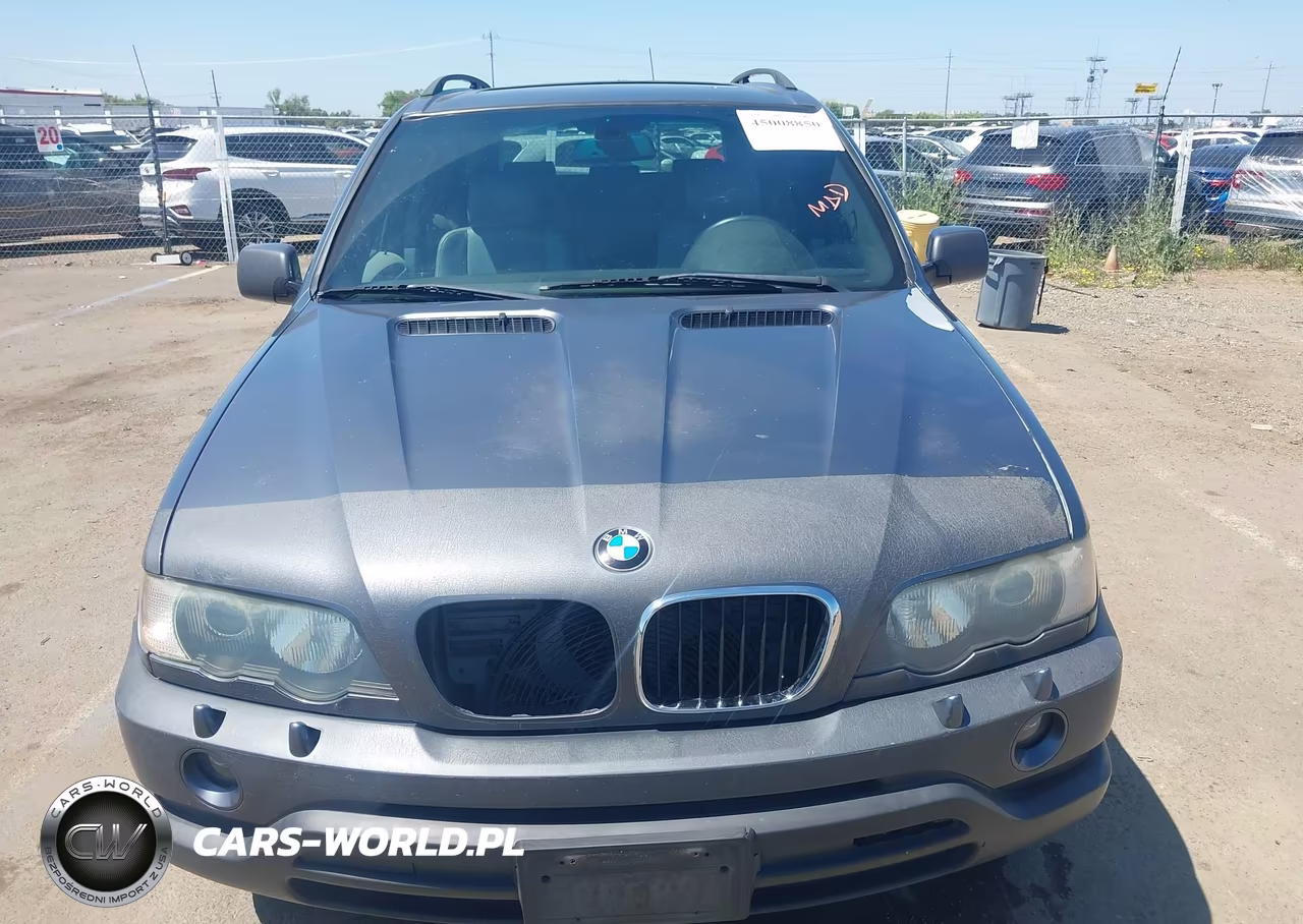 2003 BMW X5 3.0I VIN:5UXFA53523LV89520 - 12