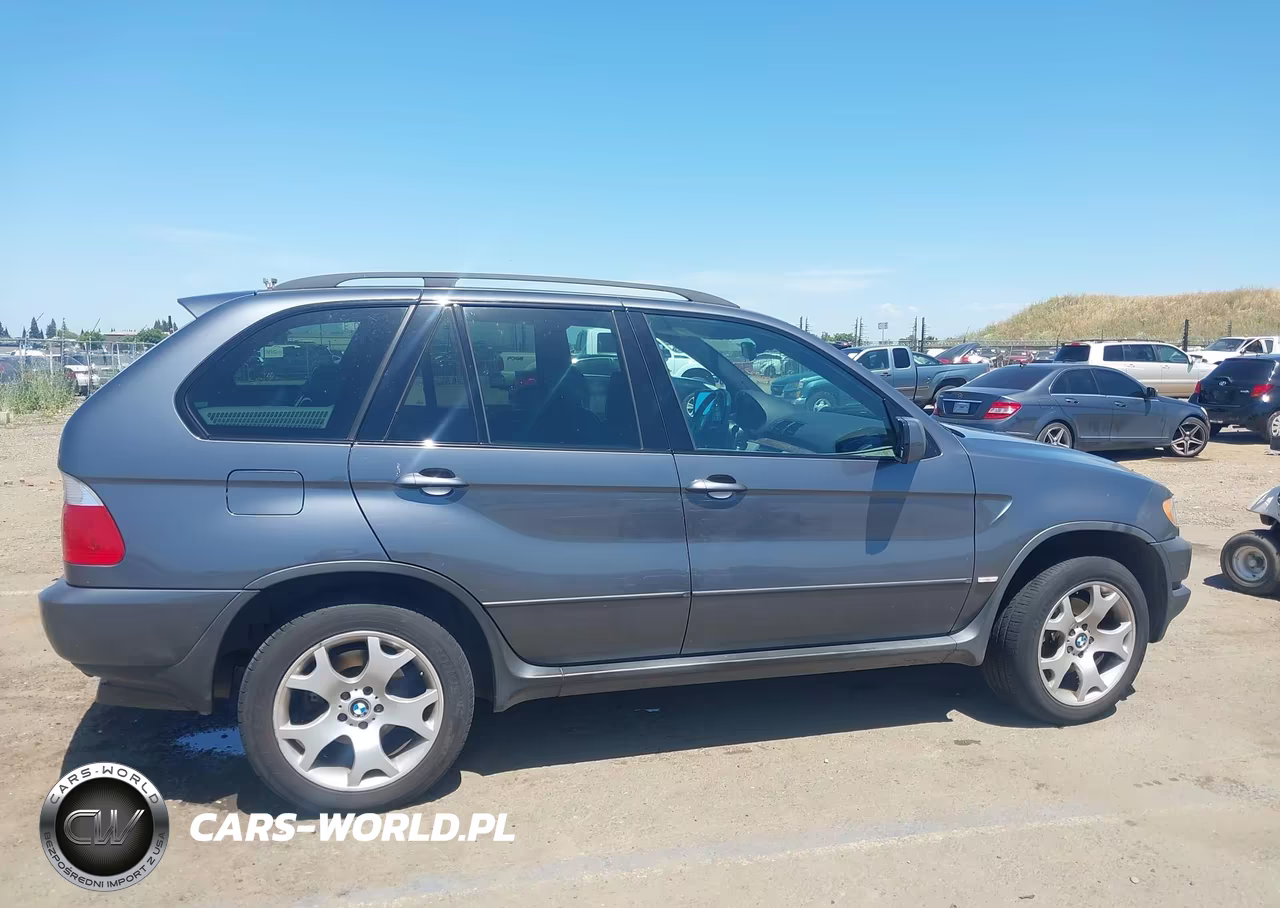 2003 BMW X5 3.0I VIN:5UXFA53523LV89520 - 13