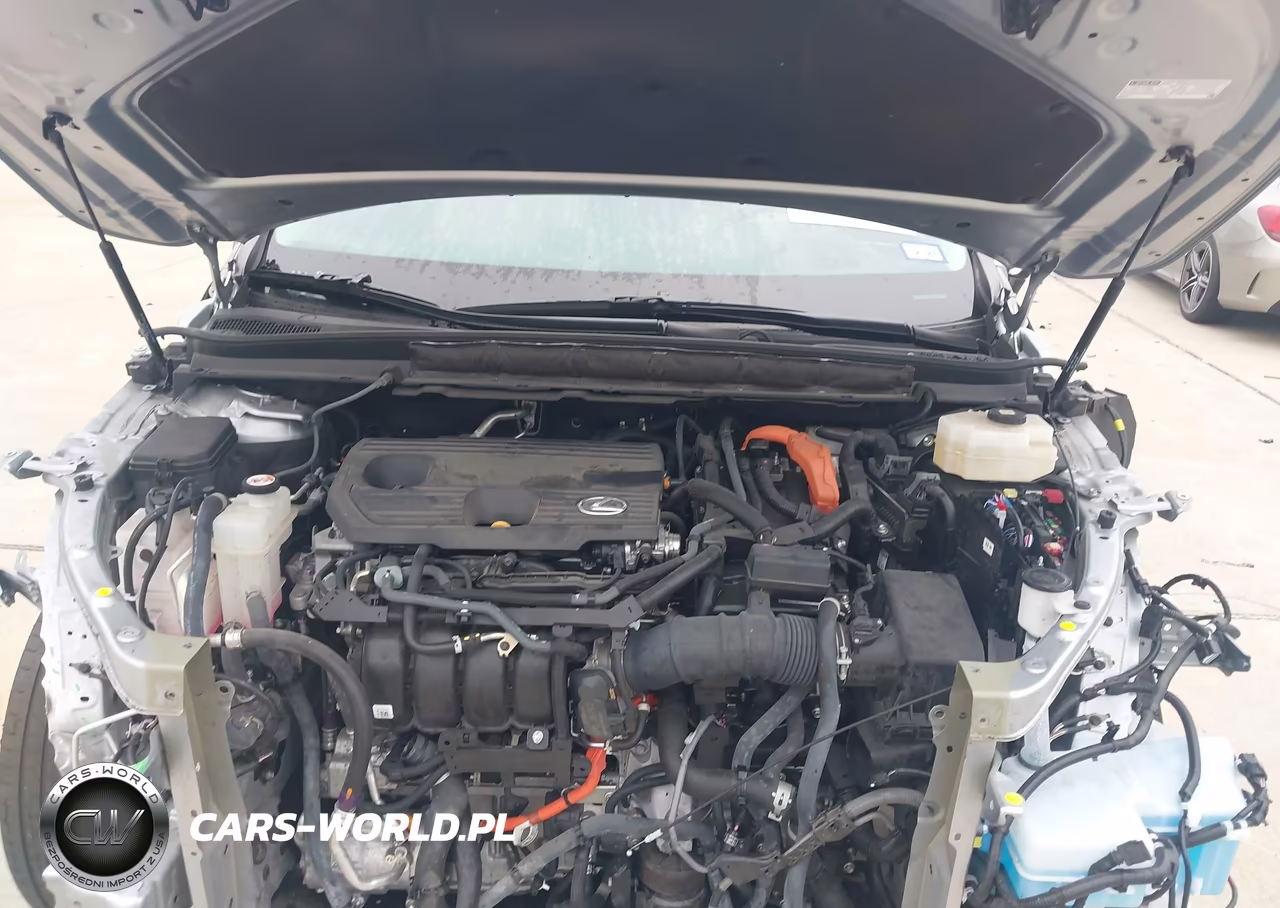 2024 Lexus Rx 350H Premium Plus VIN:2T2BBMCA9RC027517 - 10