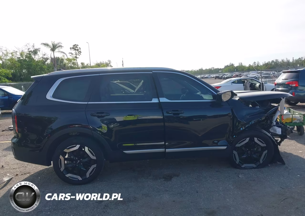 2025 Kia Telluride Ex VIN:5XYP34GC5SG603150 - 14