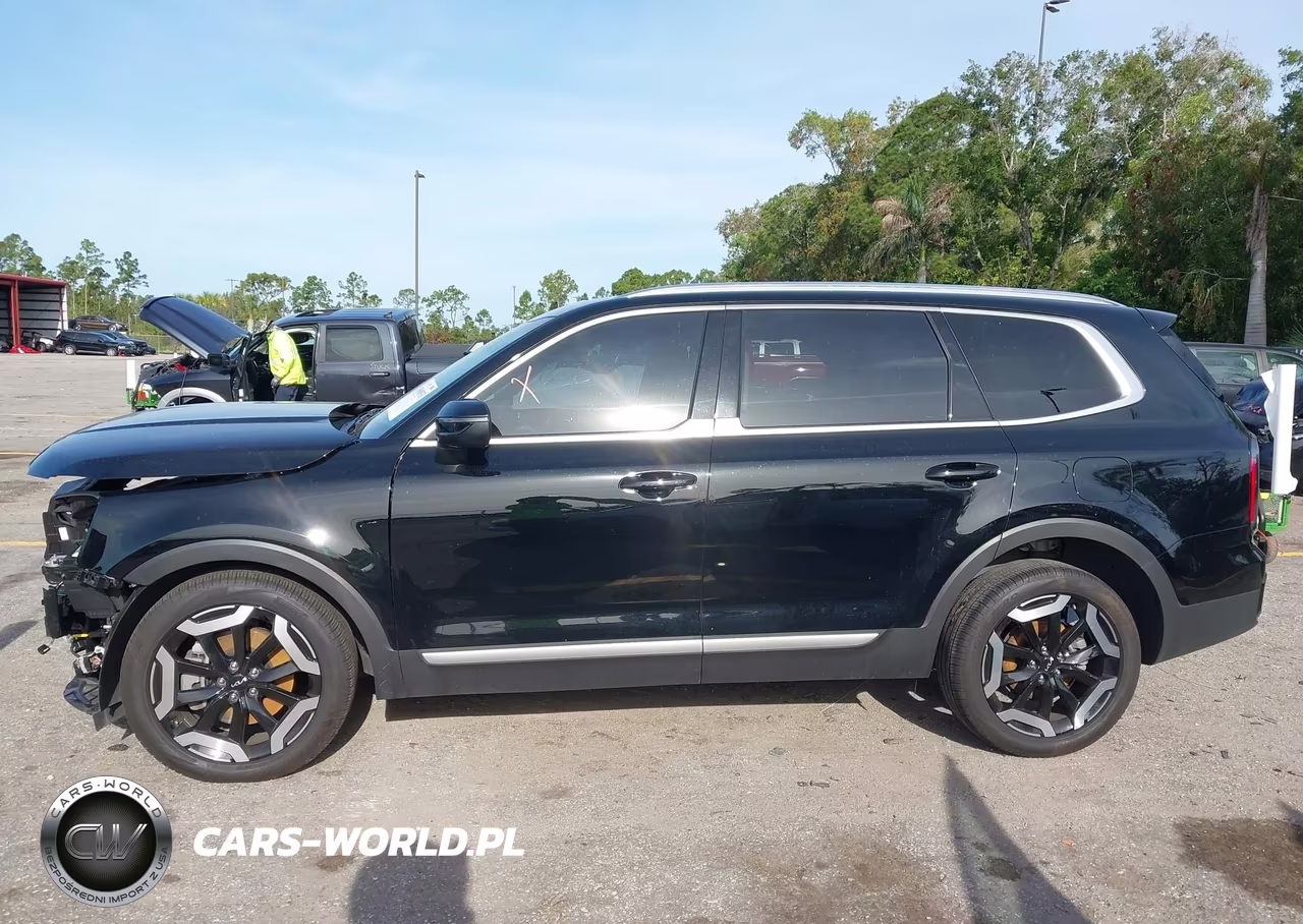 2025 Kia Telluride Ex VIN:5XYP34GC5SG603150 - 15