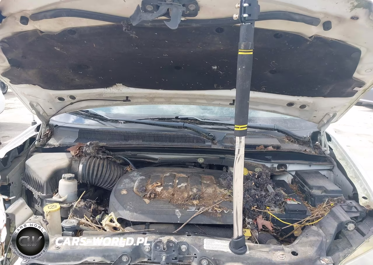 2013 Dodge Grand Caravan Se VIN:2C4RDGBG2DR569832 - 8