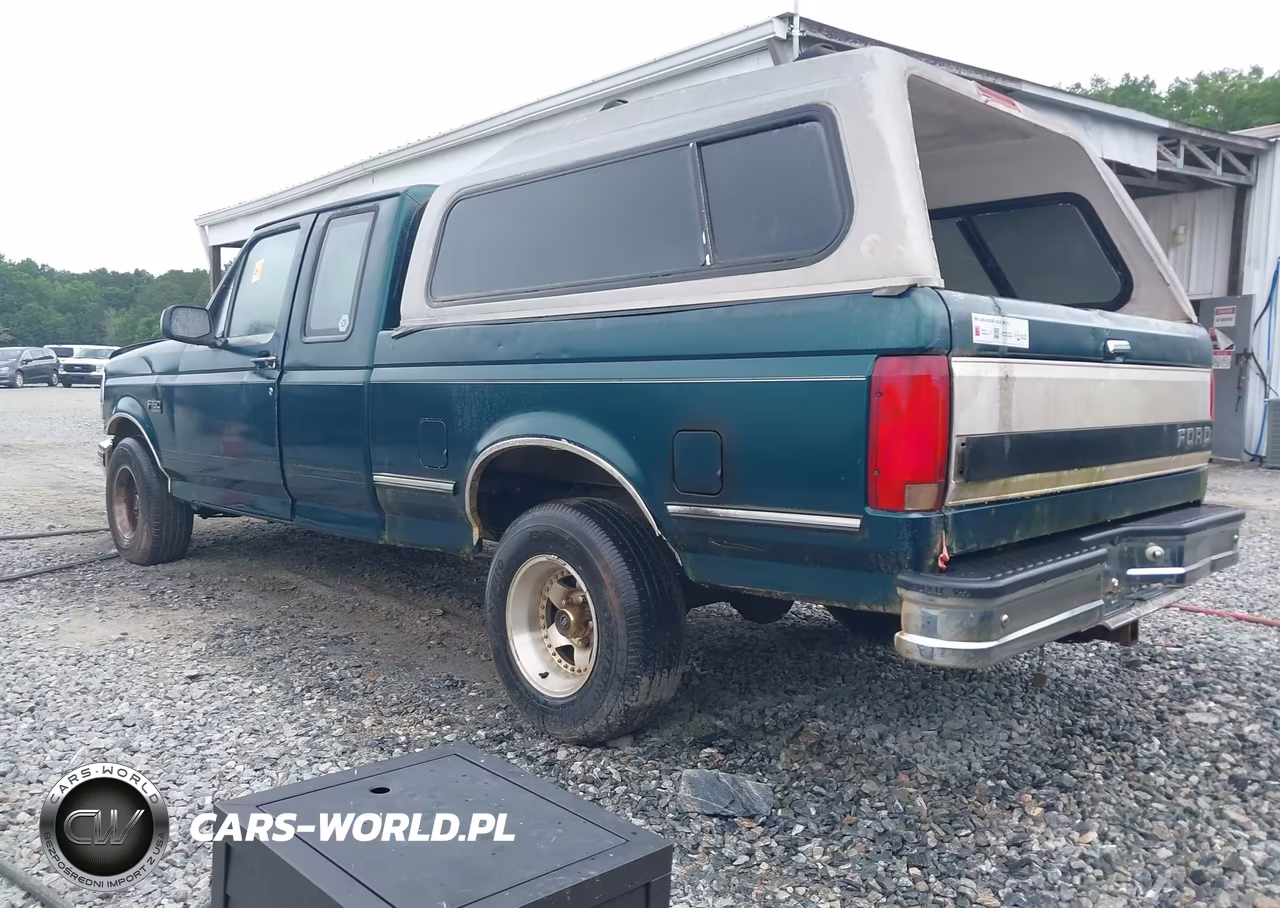 1993 Ford F150 VIN:1FTEX15N9PKB44043 - 3