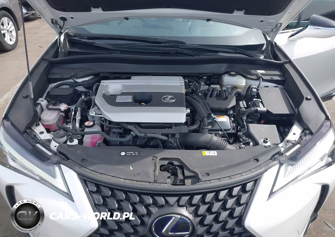 2022 Lexus Ux 250H VIN:JTHX9JBH6N2054703 - 10