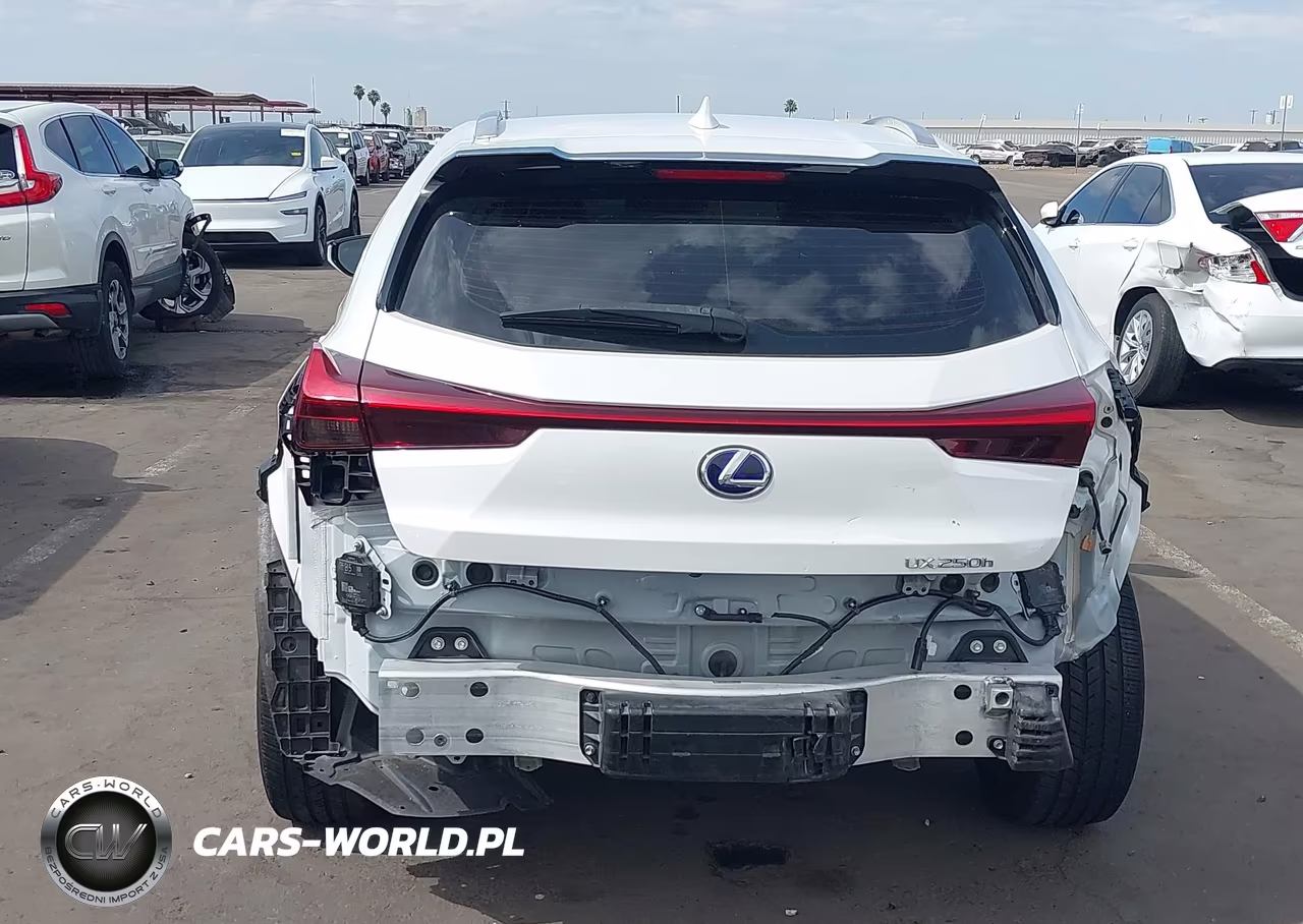 2022 Lexus Ux 250H VIN:JTHX9JBH6N2054703 - 6