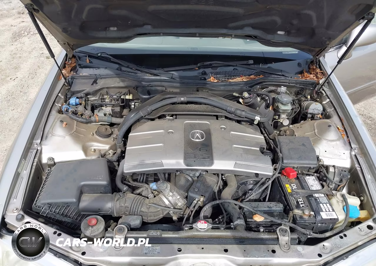 2002 Acura Rl 3.5 VIN:JH4KA966X2C005406 - 10