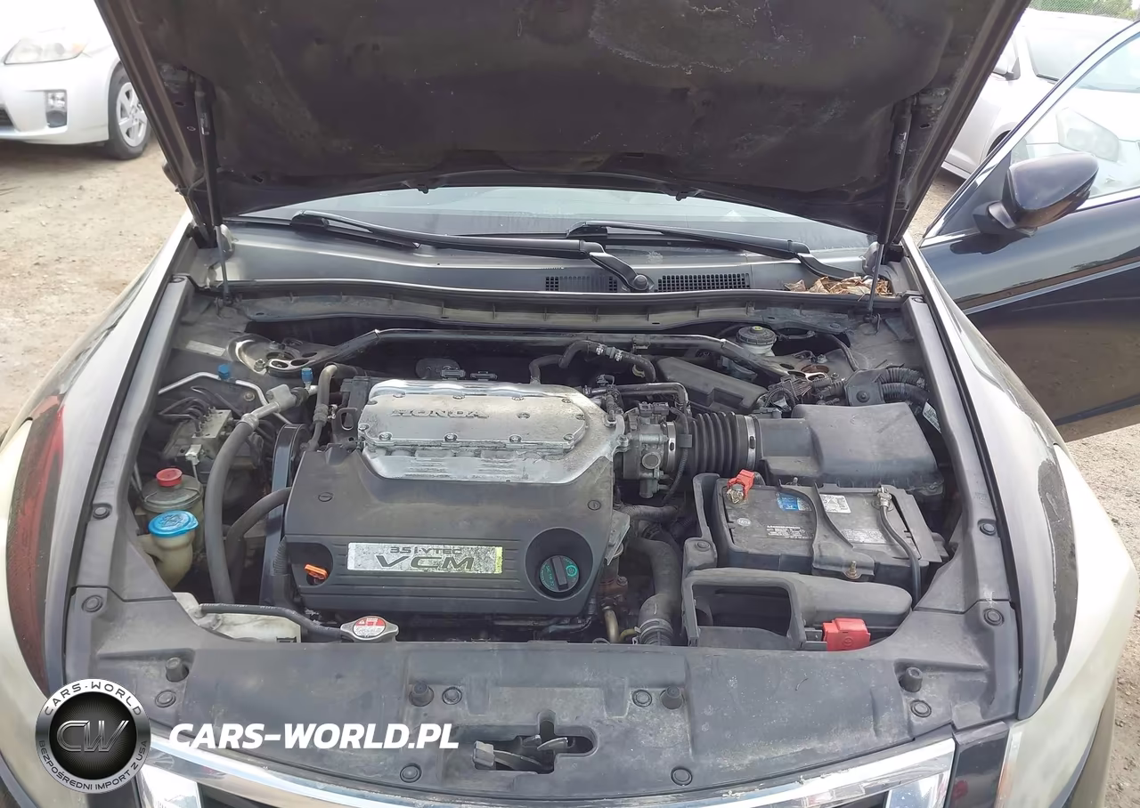 2010 Honda Accord 3.5 Ex-L VIN:1HGCP3F87AA000081 - 10