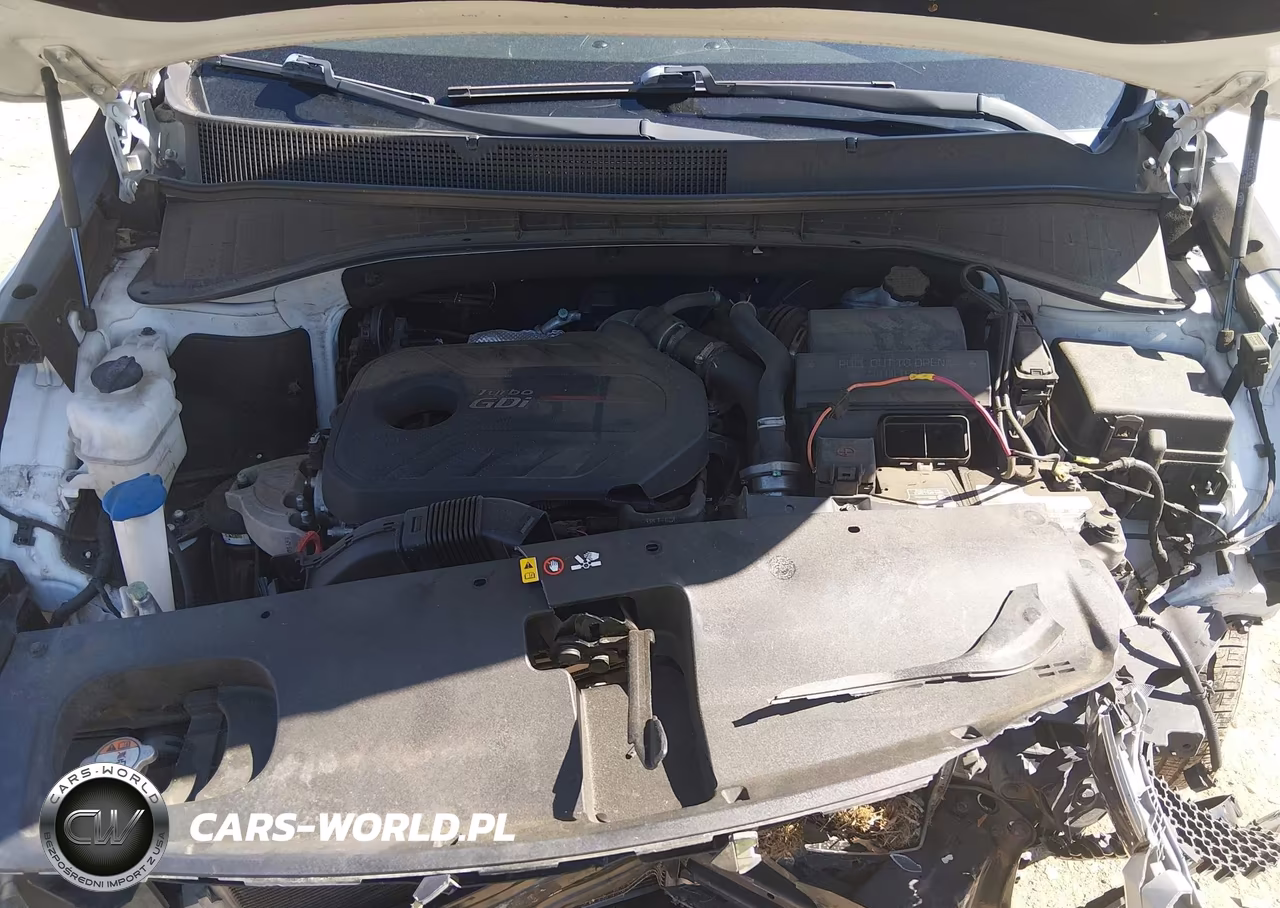 2017 Kia Sorento 2.0T Ex VIN:5XYPH4A13HG241272 - 10