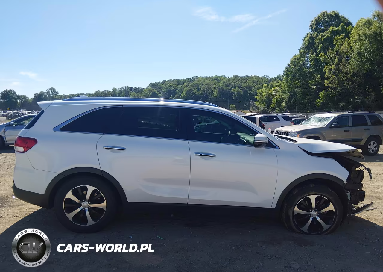 2017 Kia Sorento 2.0T Ex VIN:5XYPH4A13HG241272 - 14