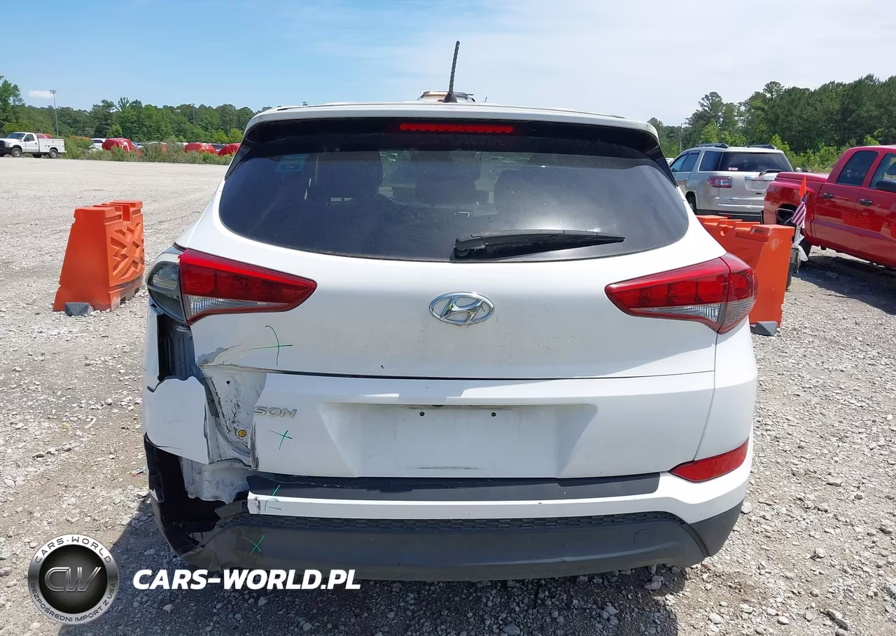 2018 Hyundai Tucson Se VIN:KM8J23A41JU822233 - 16