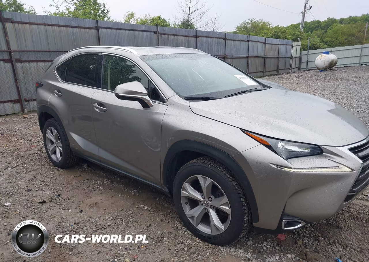 2017 Lexus Nx 200T VIN:JTJBARBZ2H2143907 - 13