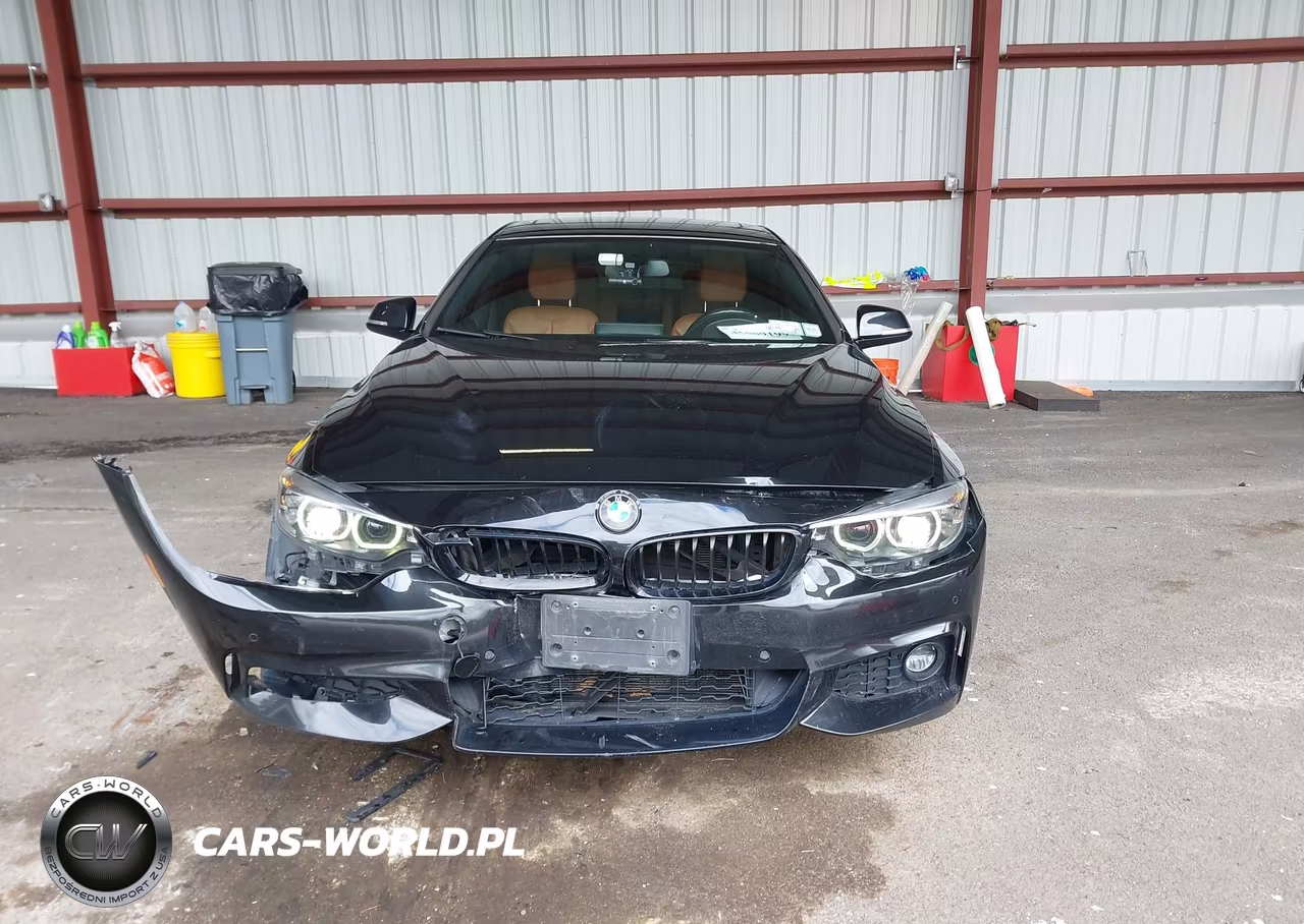 2019 BMW 430I Gran Coupe xDrive VIN:WBA4J3C5XKBL06831 - 12