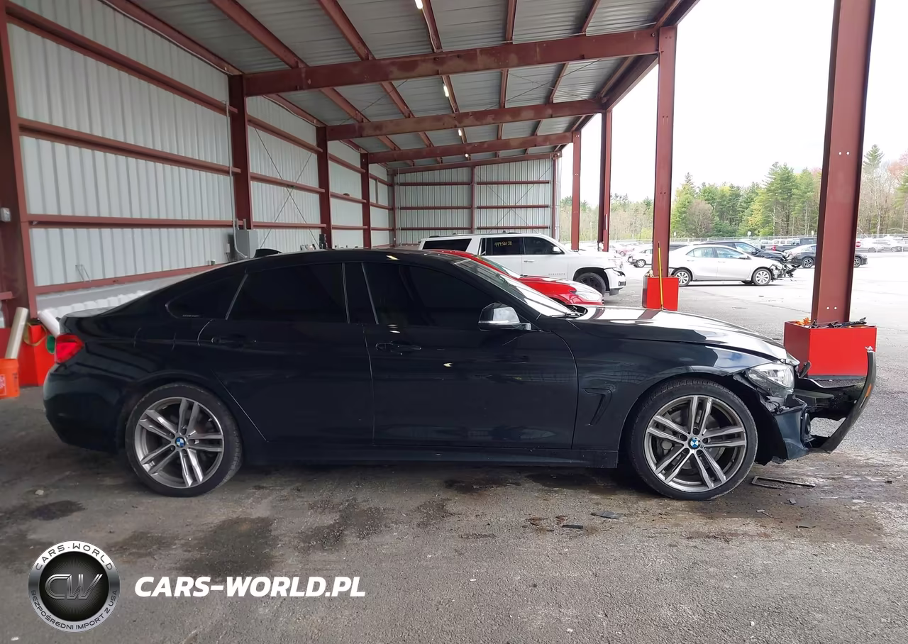 2019 BMW 430I Gran Coupe xDrive VIN:WBA4J3C5XKBL06831 - 13