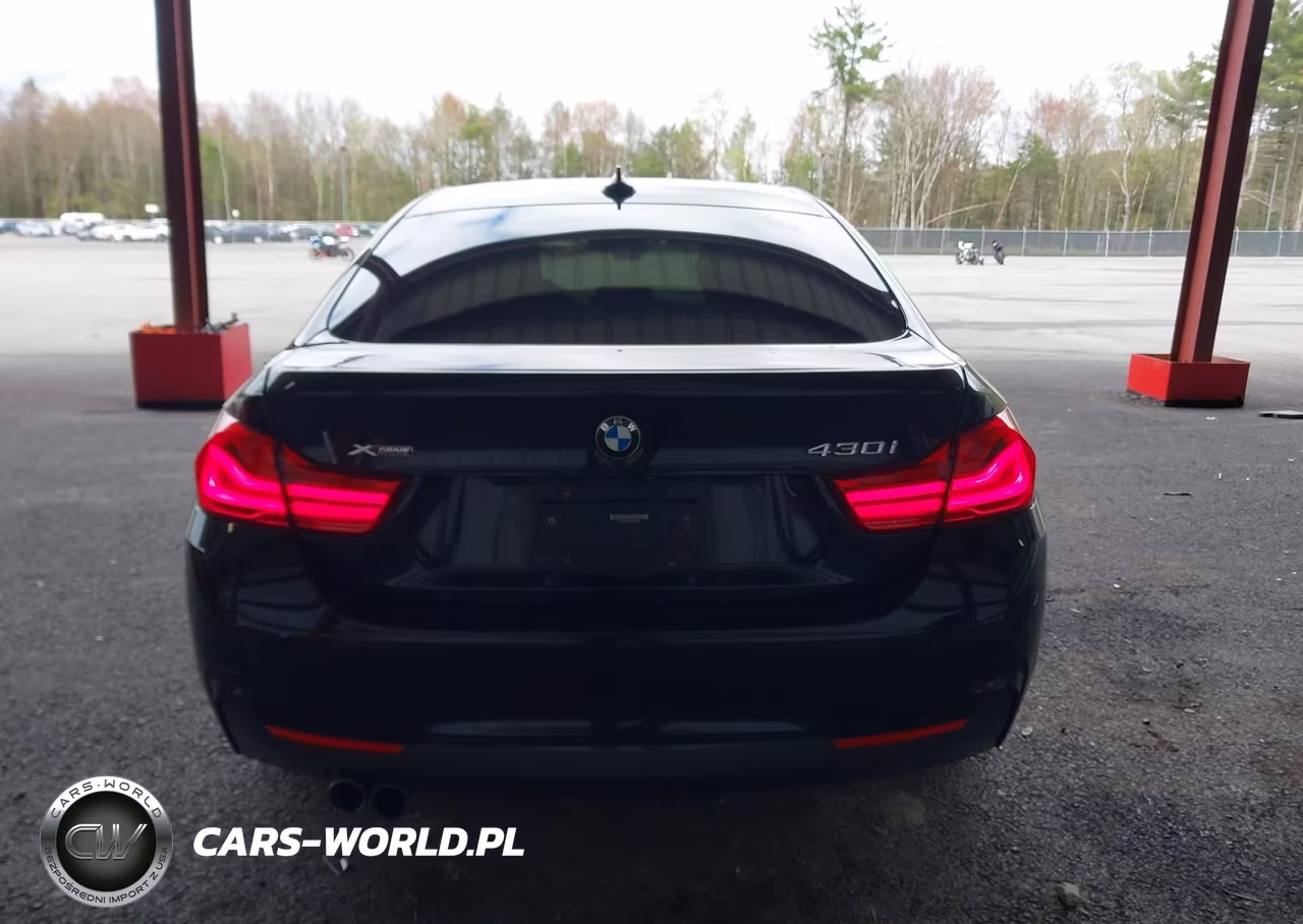 2019 BMW 430I Gran Coupe xDrive VIN:WBA4J3C5XKBL06831 - 16