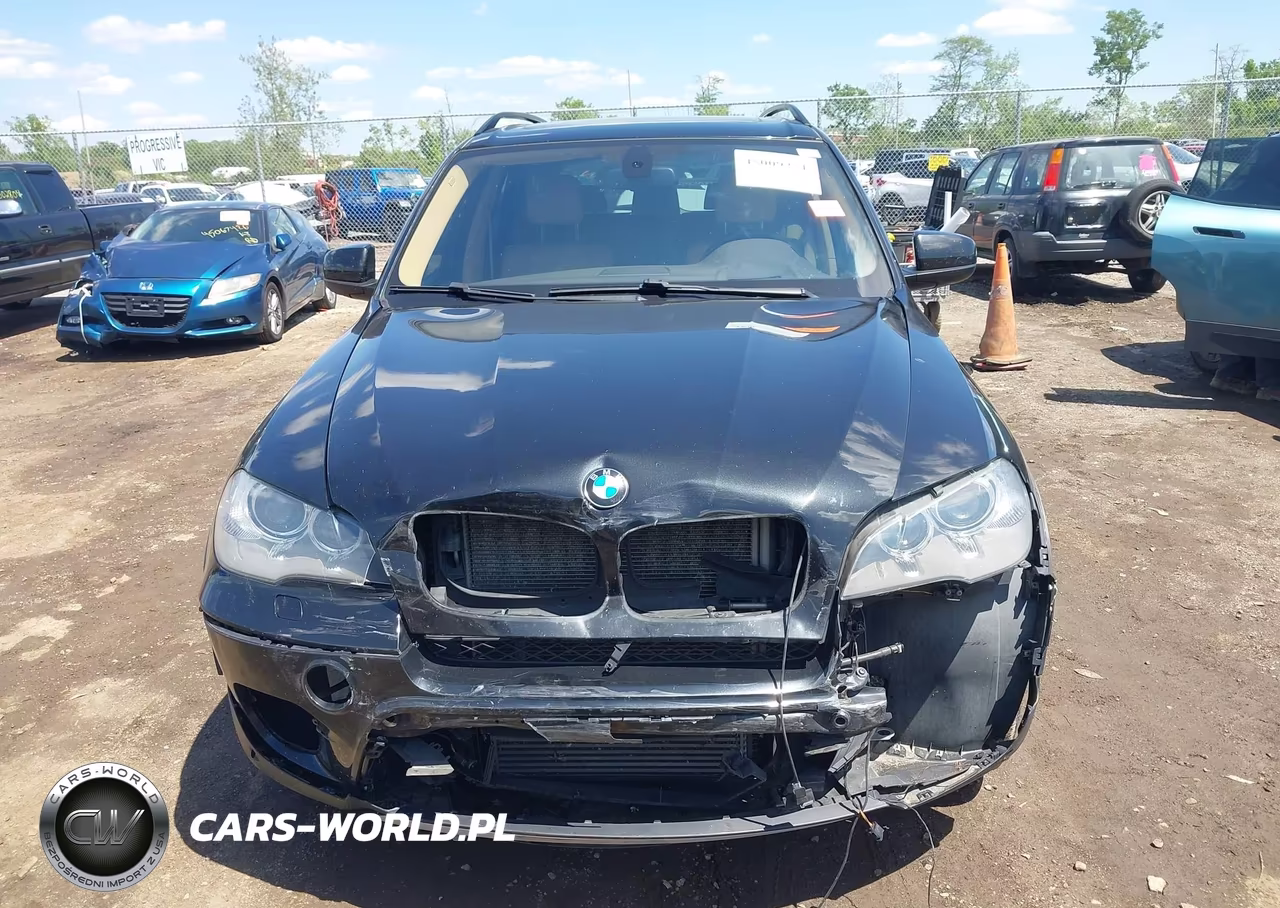 2013 BMW X5 xDrive35I-xDrive35I Premium-xDrive35I Sport Activity VIN:5UXZV4C58D0B03620 - 12