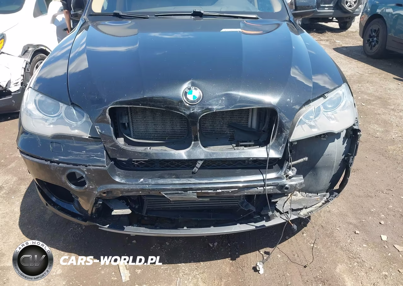 2013 BMW X5 xDrive35I-xDrive35I Premium-xDrive35I Sport Activity VIN:5UXZV4C58D0B03620 - 6