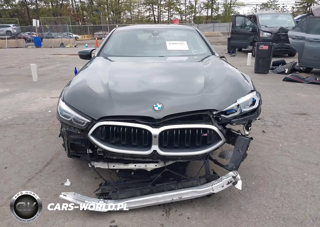 2023 BMW M850I xDrive VIN:WBABC4C03PCL57486 - 13
