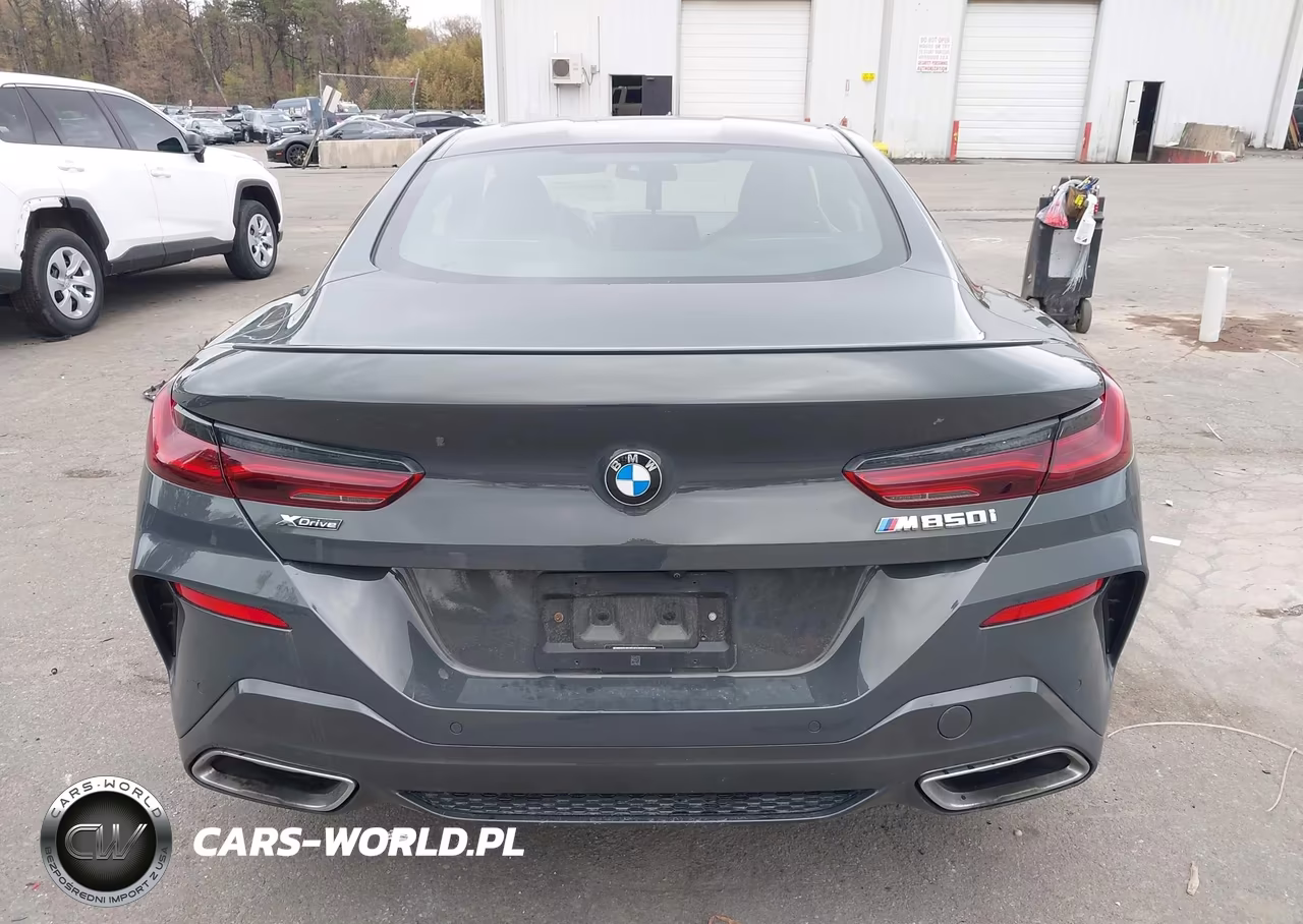 2023 BMW M850I xDrive VIN:WBABC4C03PCL57486 - 17