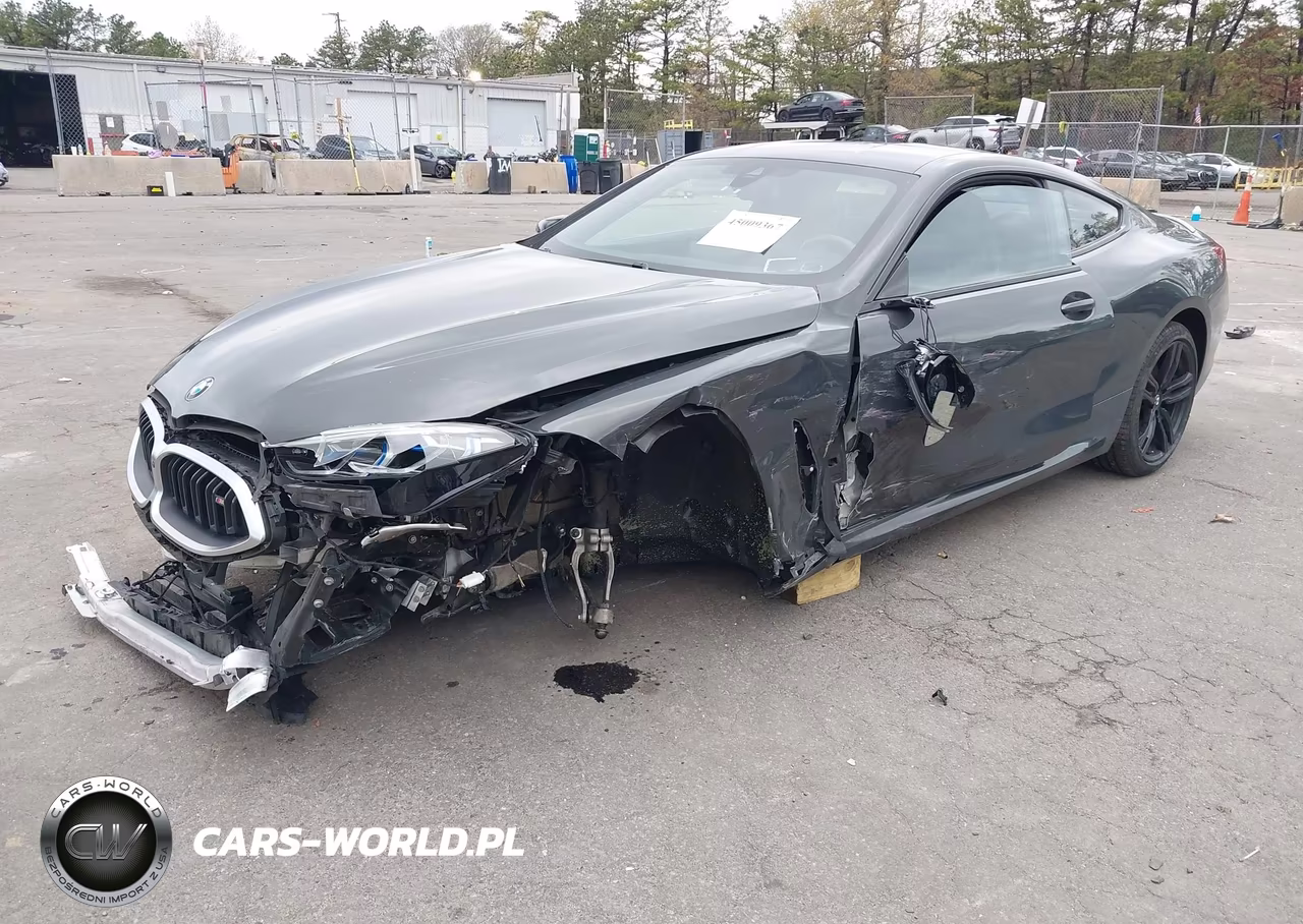 2023 BMW M850I xDrive VIN:WBABC4C03PCL57486 - 2