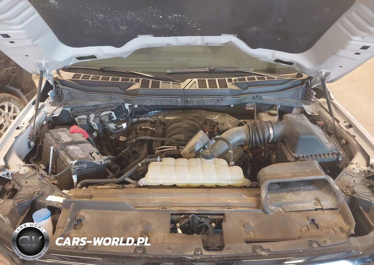 2024 Ford F-150 Xlt VIN:1FTFW3L53RKD95536 - 10